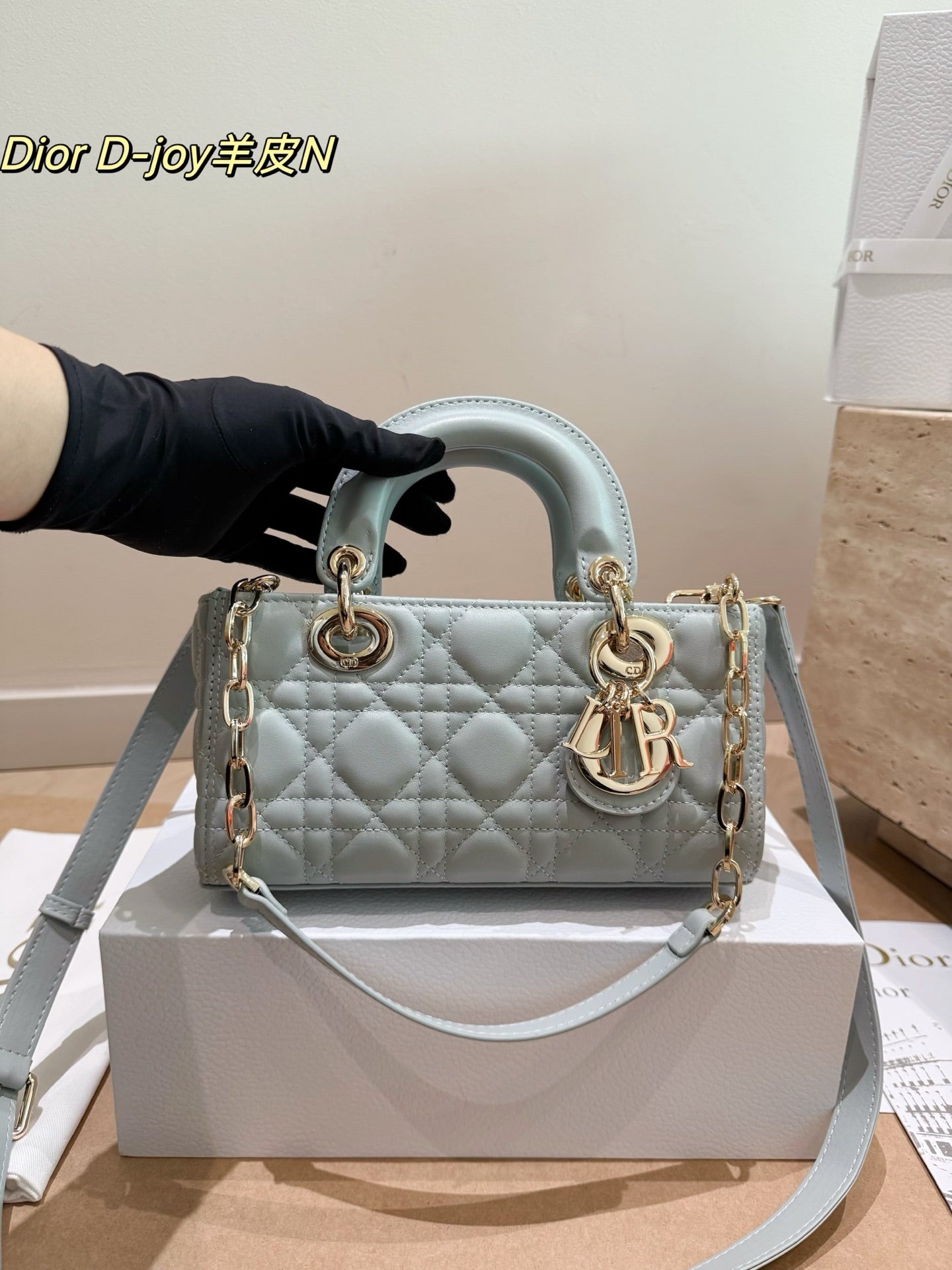 leather Dior Lady D-Joy horizontal bag (made of lambskin)