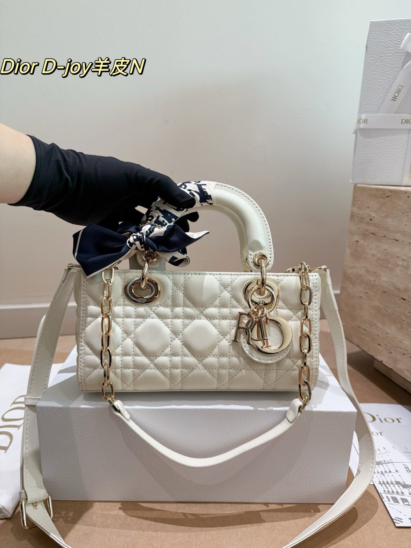 leather Dior Lady D-Joy horizontal bag (made of lambskin)