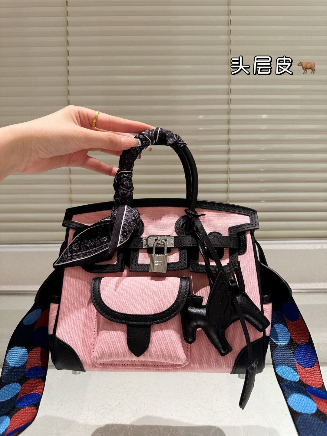 Hermes Birkin 25 Cago 2025 Newest Model