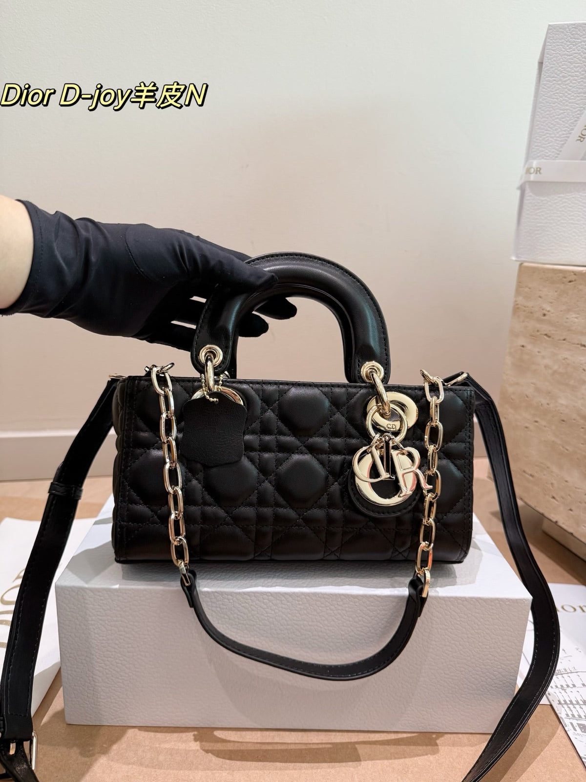 leather Dior Lady D-Joy horizontal bag (made of lambskin)