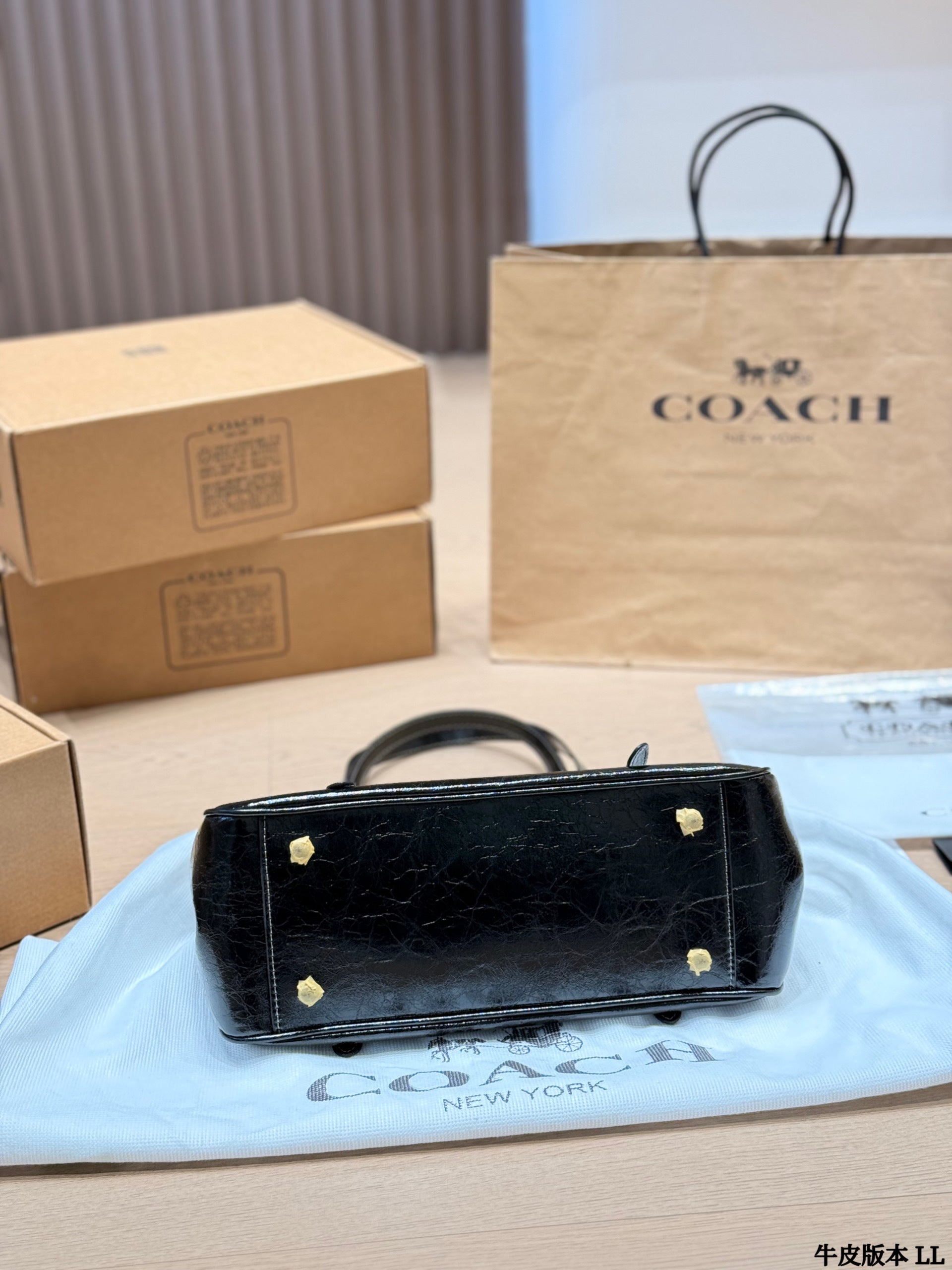 Coach Asher 34 Baguette Bag
